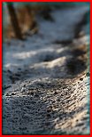 SNOW CROSS 29.12.2009
